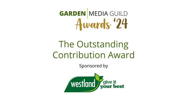 The Outstanding Contribution Award